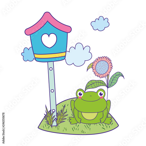 cute toad in the landscape with birdhouse