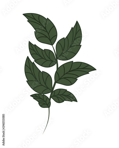 branch with leaves isolated icon © grgroup