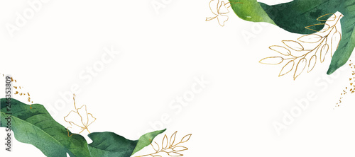 Watercolor vector banner tropical leaves isolated on white background.