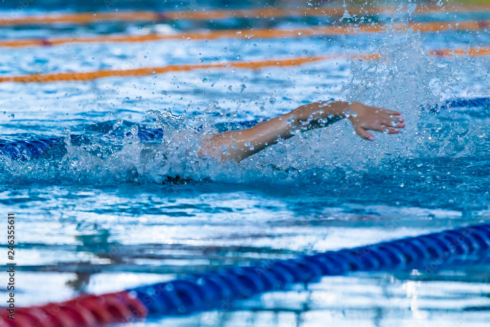 Swimmers compete in the sports pool