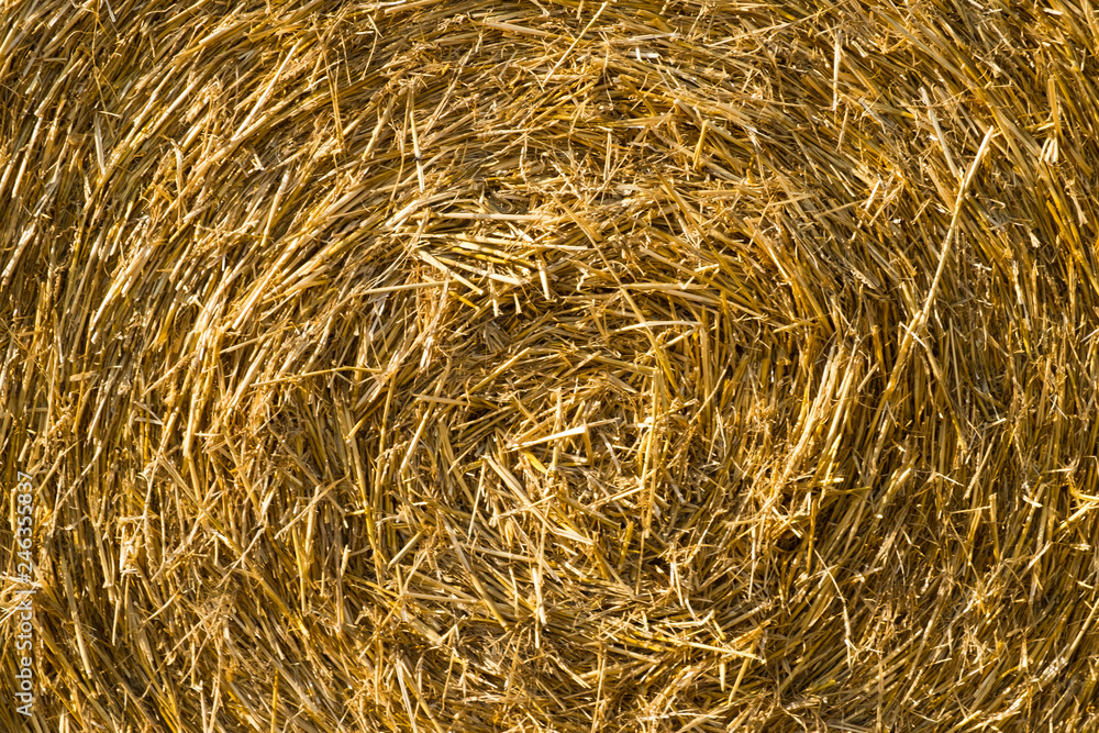 Round straw bale full frame background texture Round straw bale full frame background texture