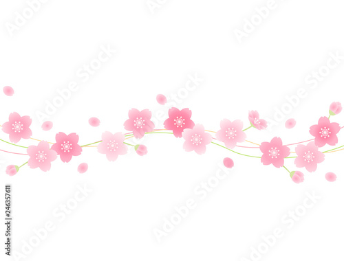 Wallpaper Mural さくら41 Torontodigital.ca