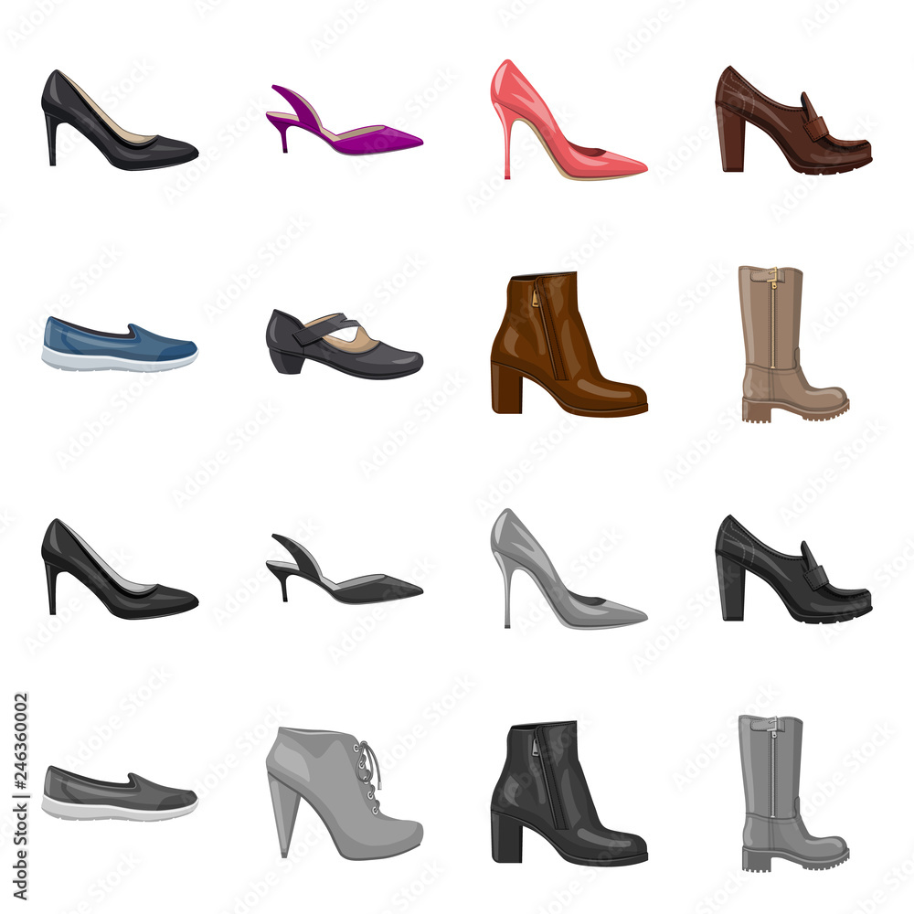 Vector illustration of footwear and woman icon. Collection of footwear and foot vector icon for stock. Vector illustration of footwear and woman icon. Collection of footwear and foot vector icon for stock.