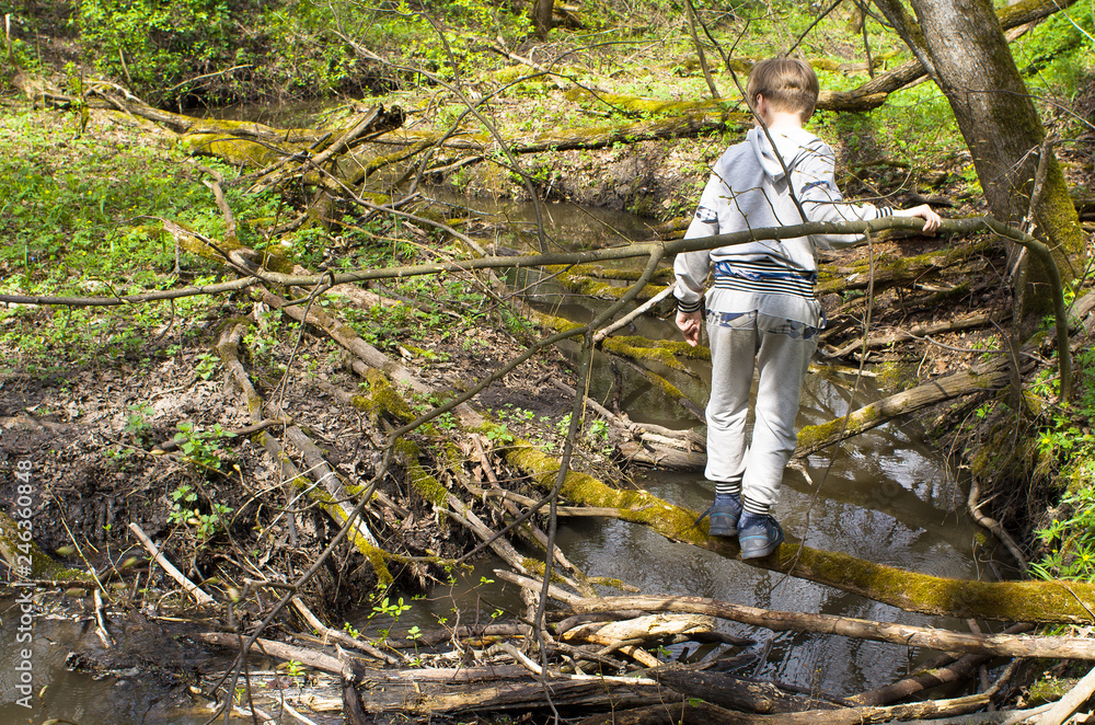 Boy tourist crossing the forest river on a fallen tree trunk bright summer day. Boy tourist crossing the forest river on a fallen tree trunk bright summer day.
