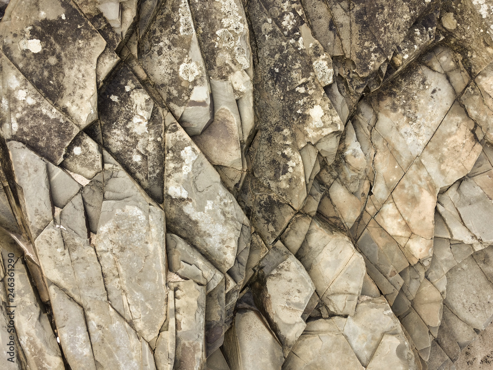 Fototapeta premium stone texture, stone background, black and white