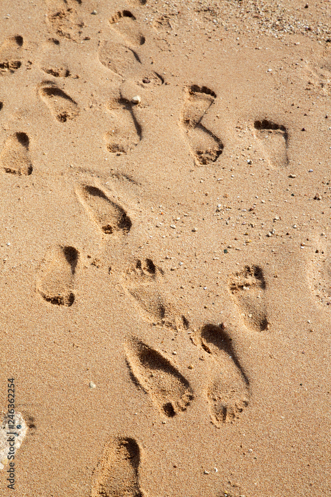 Many footprints on sand on the beach Many footprints on sand on the beach
