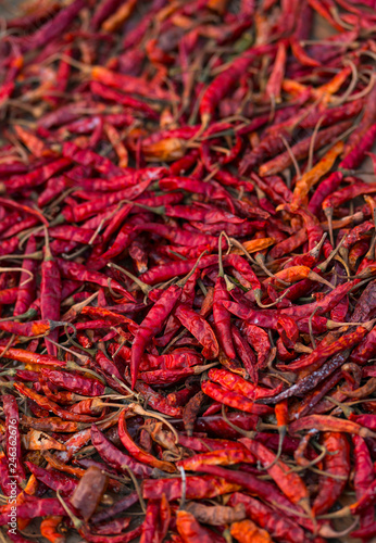 Chilli pepper, Indigenous Tharus, Chitwan National Park, Inner Terai lowlands, Nepal, Asia, Unesco World Heritage Site photo