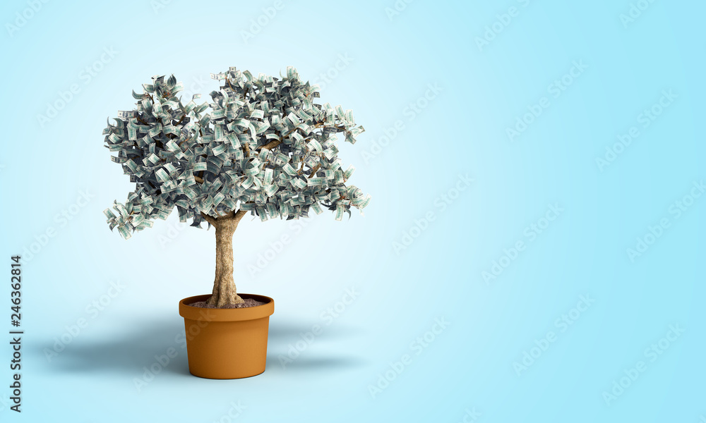 dollar tree with hundred dollar bills growing out of the pot on blue 3d illustration dollar tree with hundred dollar bills growing out of the pot on blue 3d illustration