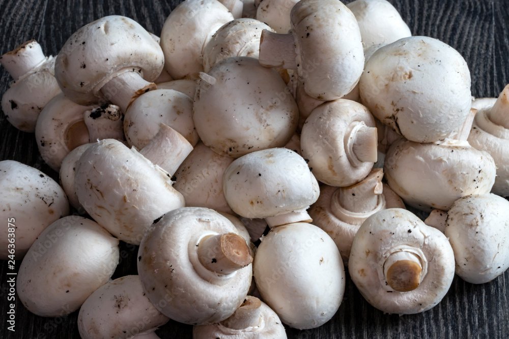 Gros champignons de Paris - Agaricus bisporus - en vrac Gros champignons de Paris - Agaricus bisporus - en vrac