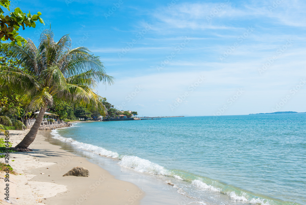 Palm and tropical beach in Thailand.