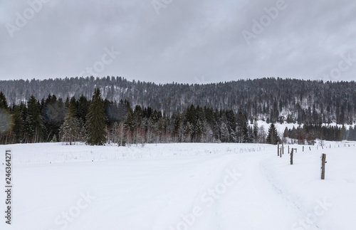 Snow. Forest. Landscape. Winter. Sky. Cold. Hills © sarenac77