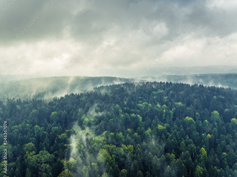 Bieszczady we mgle