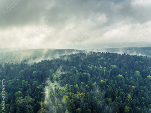Bieszczady we mgle