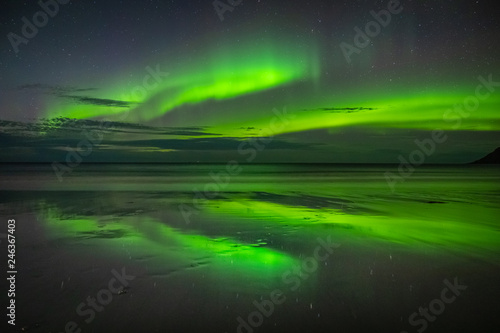 Lofoten aurora above moutains stars sea © PawelUchorczak