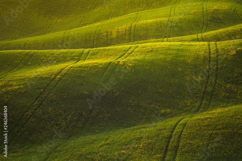 Tuscany spring landscape italian green fields