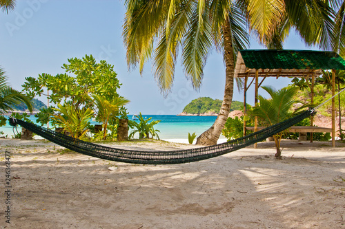 hammock on the beach photo