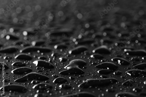 Εκτύπωση καμβά Water droplets on black background and texture, macro, side view