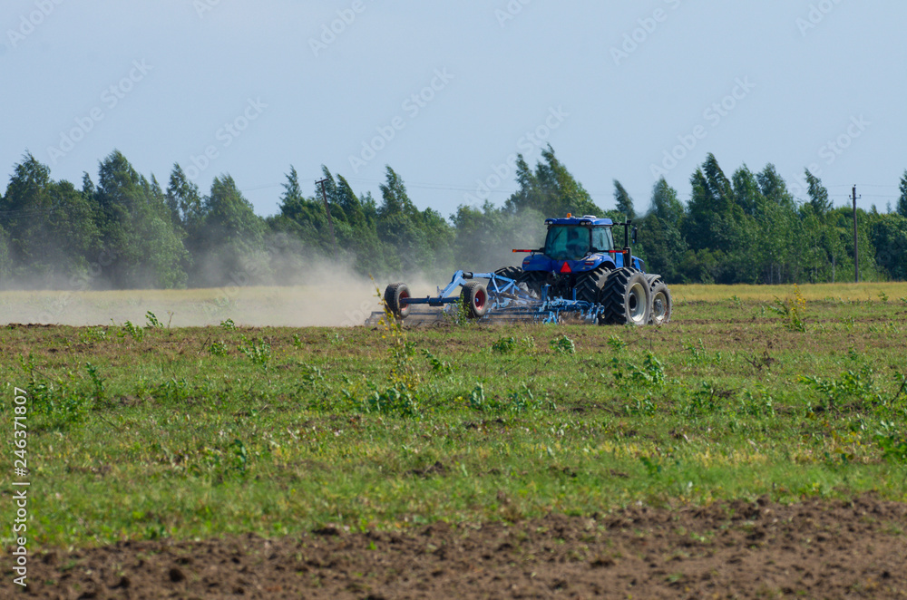 Fototapeta premium Blue tractor plowing the green field with an iron harrow in the plowing season with dust swirling