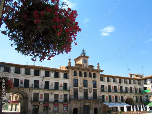 Tudela. Village of Navarra. Spain
