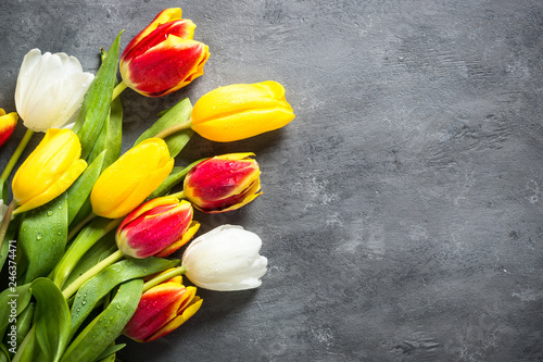 Tulips flower on stone table. Flower background.