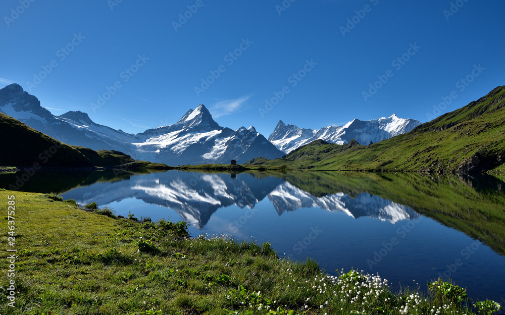 Panoramablick mit dem Bachalpsee und Berner Alpen