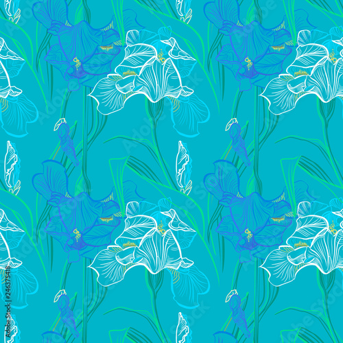 Iris flowers vector seamless pattern flowered background of botany texture