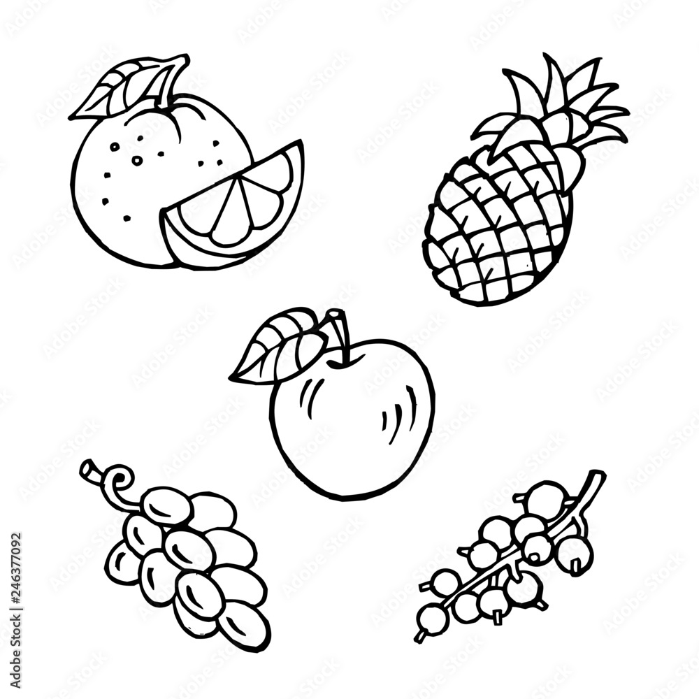 fruit set, apple, pineapple, orange, grapes, currant, black and white clipart fruit set, apple, pineapple, orange, grapes, currant, black and white clipart