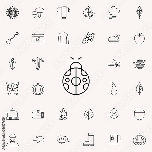 ladybug icon. autumn icons universal set for web and mobile
