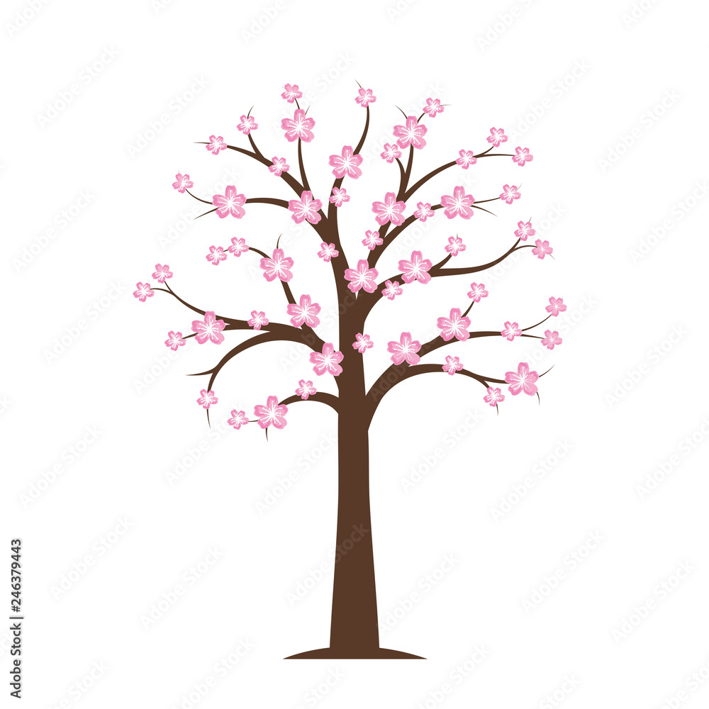 Fototapeta premium pink blooming cherry tree in spring on white background vector illustration EPS10