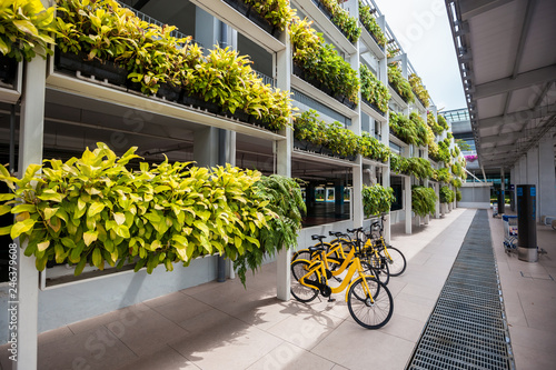 Photography Yellow Bicycle rental in Singapore