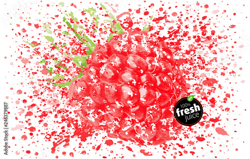 Raspberry fruit in a splash of juice. Spray of taste and freshness. Blast of fresh berry drink. EPS vector Illustration