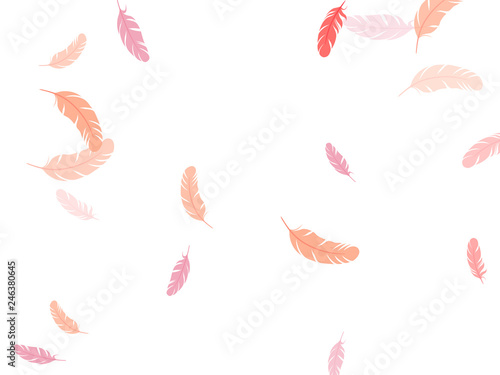 Fluffy twirled feathers on white design.