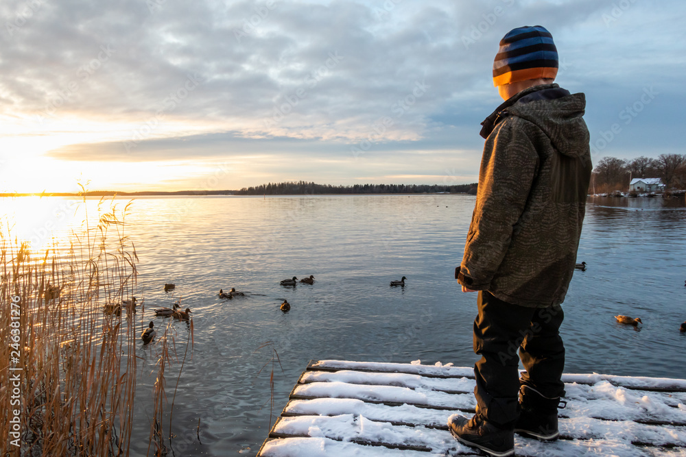 Young boy child standing on a jetty with snow looking at mallard duck birds in the water against winter sunset.