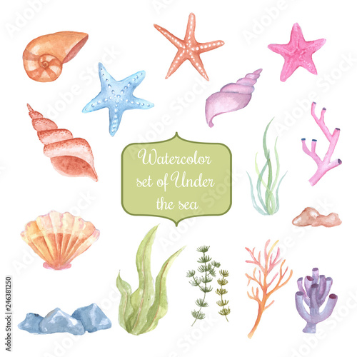 watercolor set of under the sea, clipart