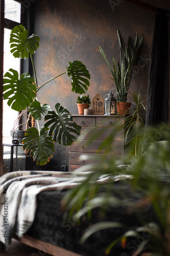 loft style dark bedroom with green plants and textured wall