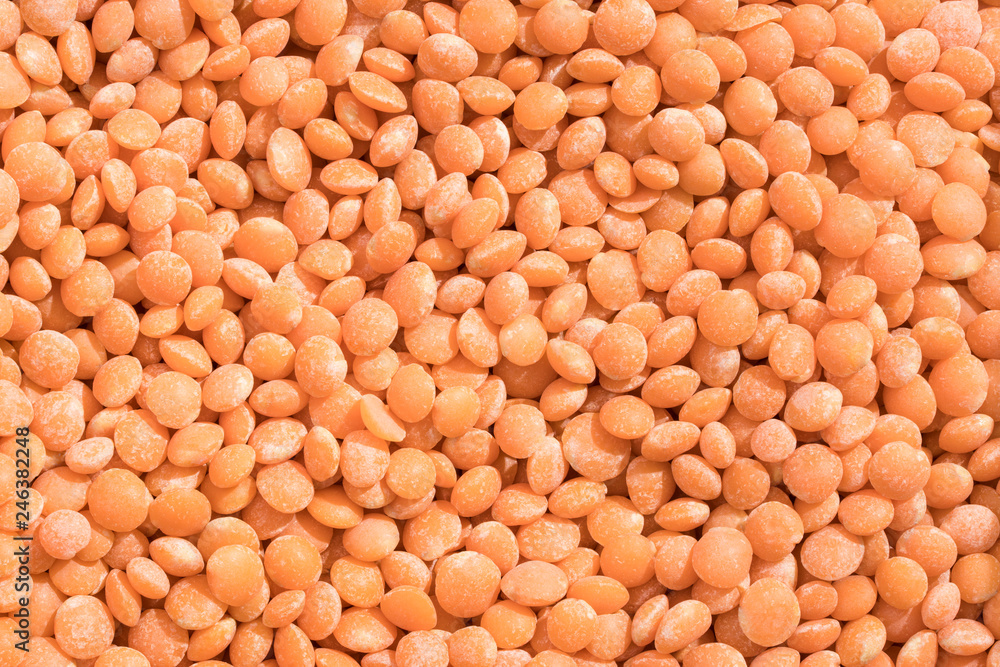 Close-up shot of a pile of red lentils Close-up shot of a pile of red lentils