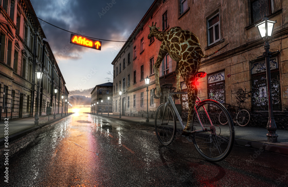 Obraz premium Żyrafa jedzie na rowerze w kierunku Afryki