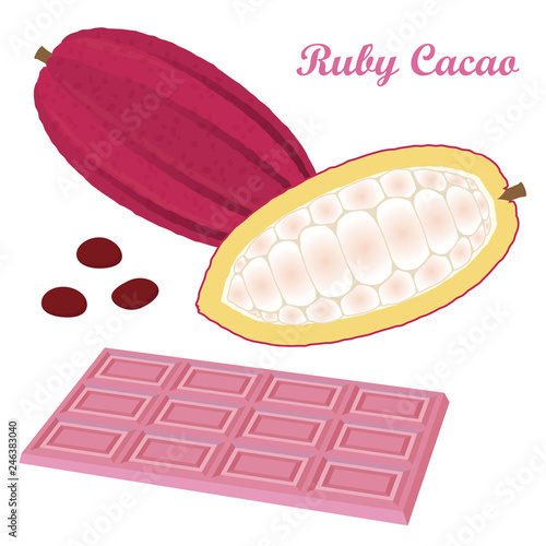 ルビーカカオのイラスト Stock Vector Adobe Stock ルビーカカオのイラスト Stock Vector Adobe Stock