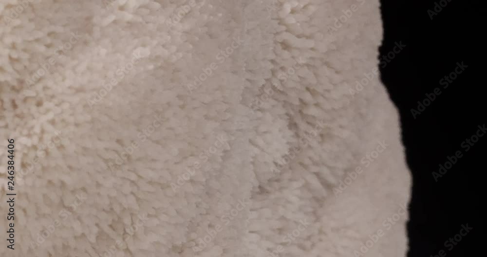 Closeup of mushroom texture Lions Mane growing in time lapse Closeup of mushroom texture Lions Mane growing in time lapse