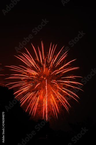 Wallpaper Mural 打ち上げ花火 Torontodigital.ca