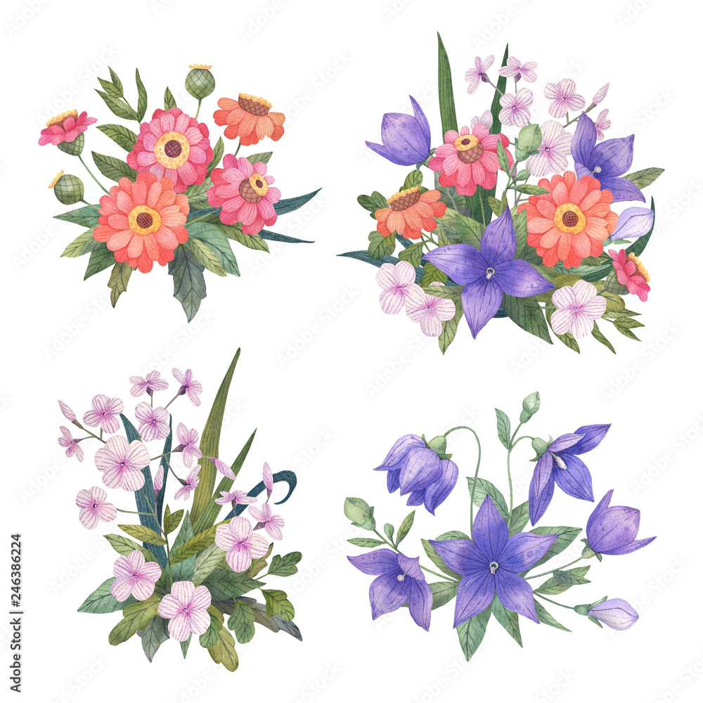Collection of watercolor floral compositions. Campanula, phloxes and zinnia bouquets isolated on white