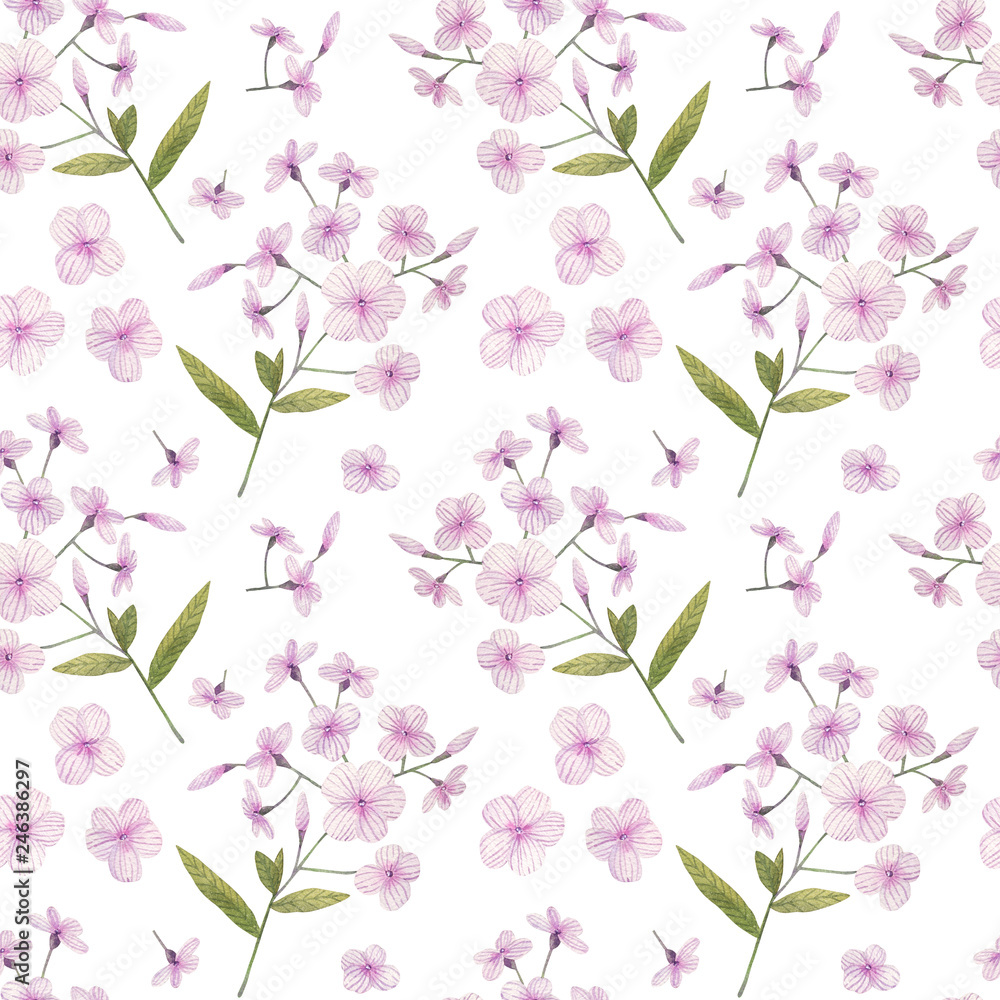 Obraz premium Seamless pattern with delicate watercolor flowers. Hand painted phloxes ideal for card making, wedding invitation or wrapping paper design