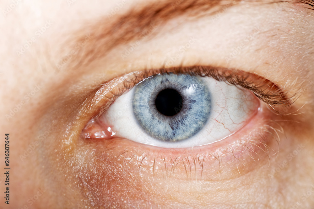 Fototapeta premium Macro image of human eye