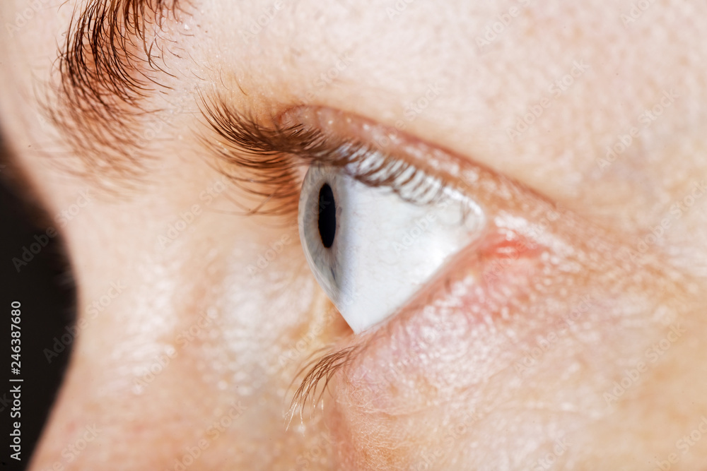 Naklejka premium Obraz profilu makro ludzkiego oka