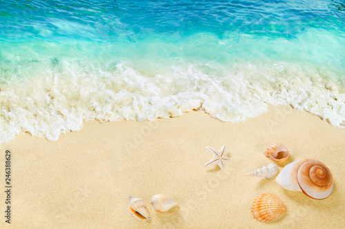Shells on the beach. Splashing waves on the seashore. Tropical sea.