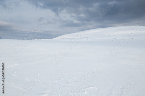 Winter landscape in Krkonose (Poland, Czech Republic) © Alexander Erdbeer