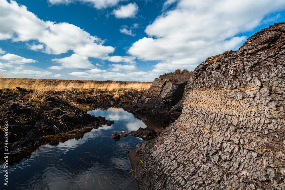 Irish peat bog landscape