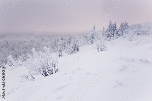 Foggy winter landscape in Germany in the morning © Alexander Erdbeer