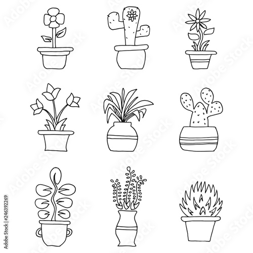 hand drawn flowers in pots illustration vector