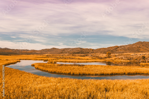 Bend of river in yellow grass. Golden autumn in mountain valley. Snow rocks on horizon